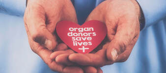 Organ Donation   The Eulogy Writers